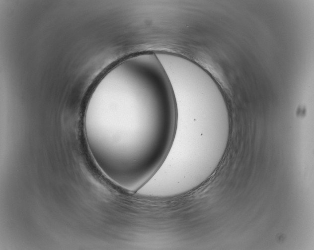 X0000092260156200709141033