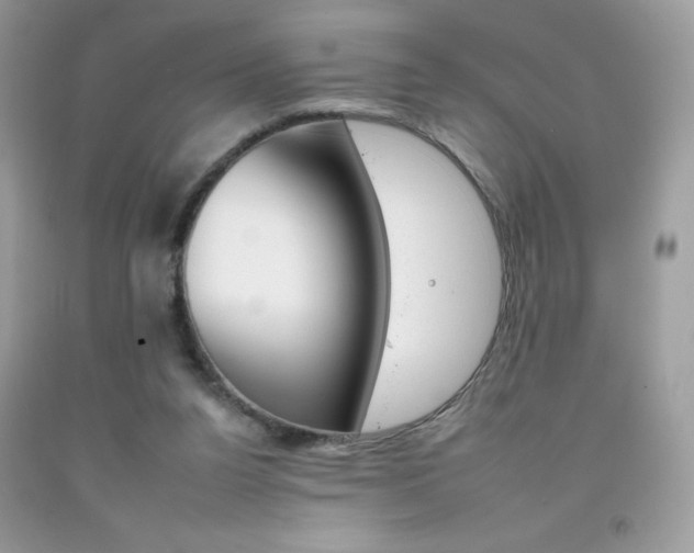X0000092260160200709141033