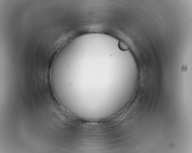 X0000092260161200709141033