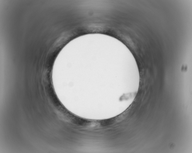 X0000092260162200709141033