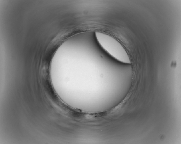 X0000092260166200709141033