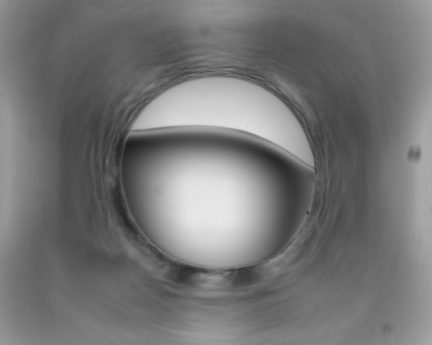 X0000092260170200709141033