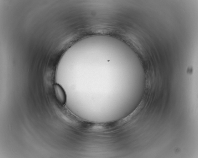X0000092260171200709141033