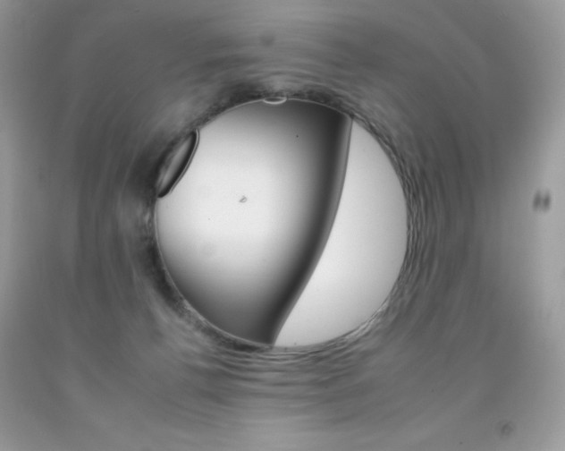 X0000092260176200709141034