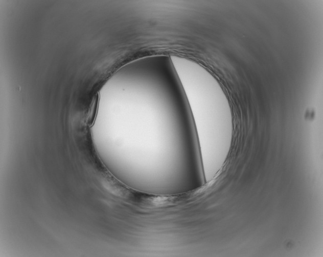 X0000092260184200709141034