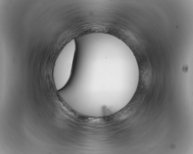 X0000092260185200709141034