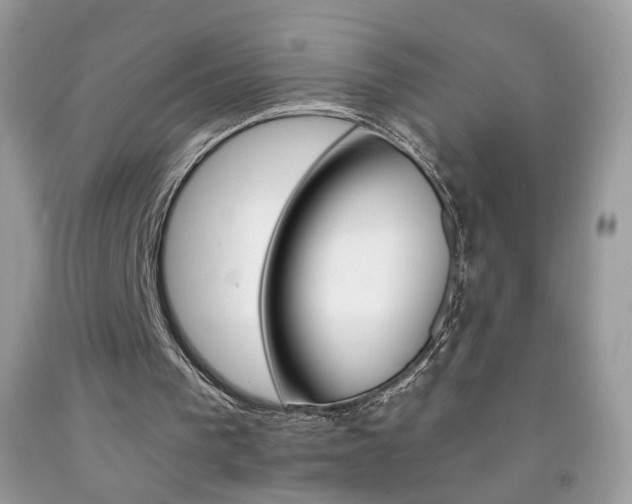 X0000092260193200709141033