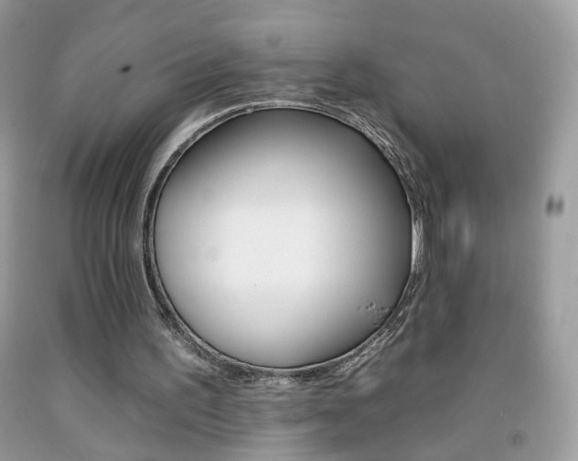 X0000092260195200709141033