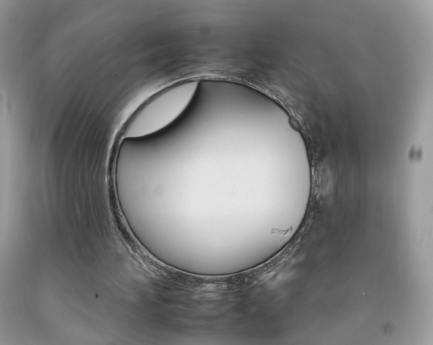 X0000092260196200709141033