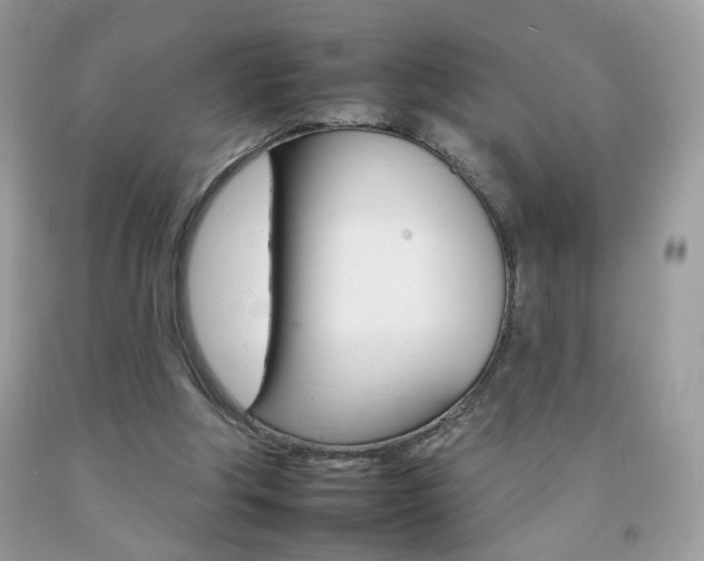 X0000092260202200709141033