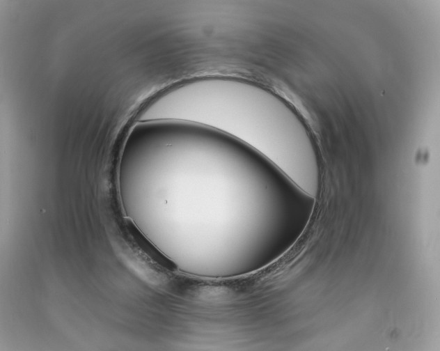 X0000092260203200709141033