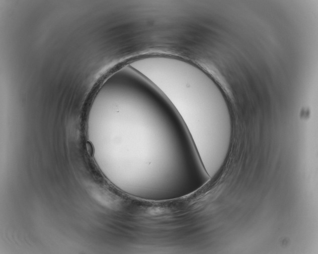 X0000092260204200709141033