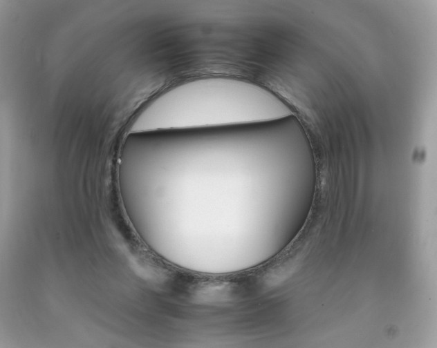 X0000092260206200709141033