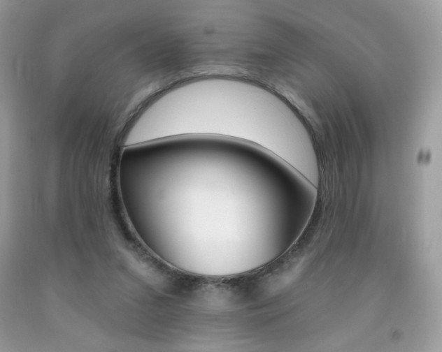 X0000092260207200709141033