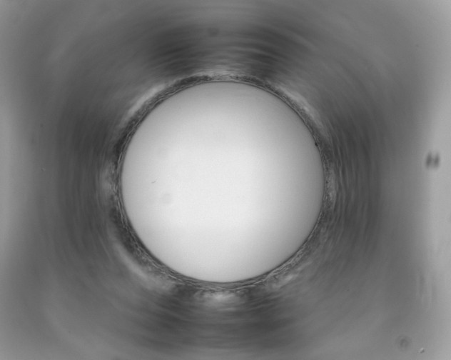 X0000092260208200709141033