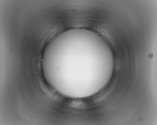 X0000092260214200709141033
