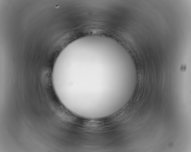 X0000092260222200709141033