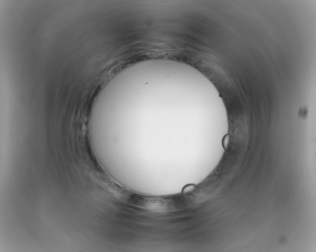 X0000092260226200709141033