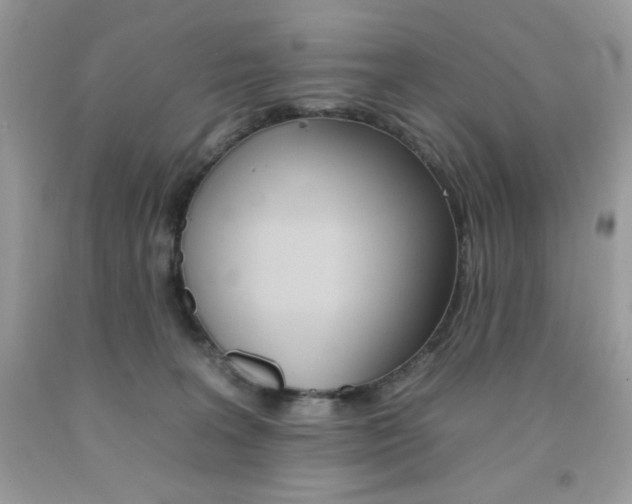 X0000092260227200709141033