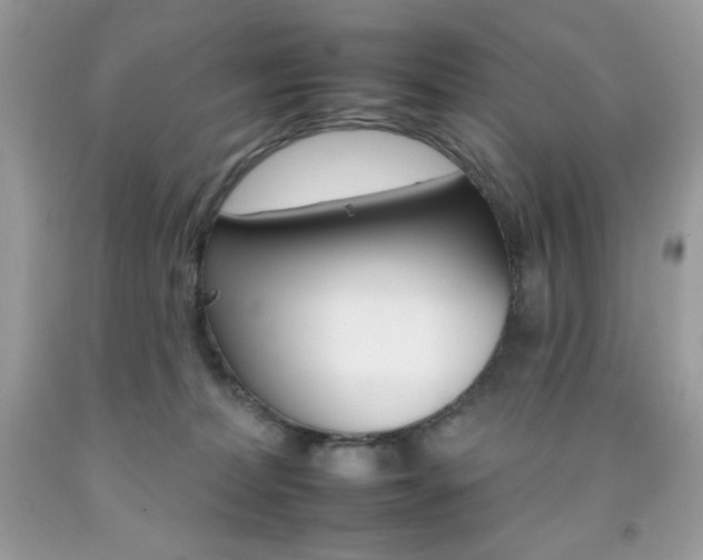 X0000092260228200709141033
