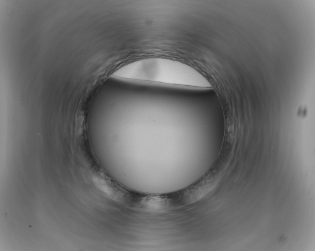 X0000092260231200709141033