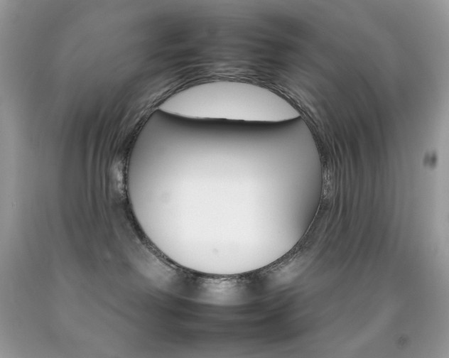 X0000092260238200709141033