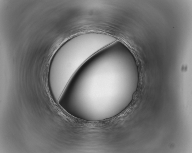 X0000092260241200709141032