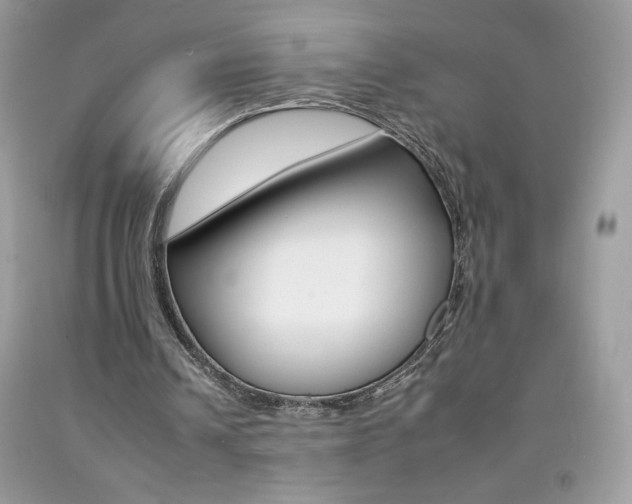 X0000092260242200709141032