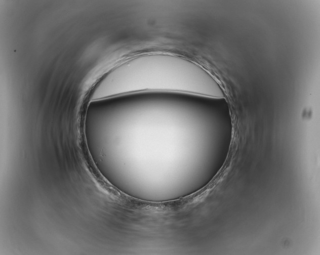 X0000092260245200709141032