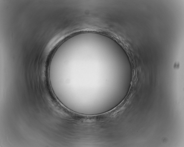 X0000092260247200709141032