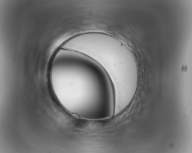 X0000092260248200709141032