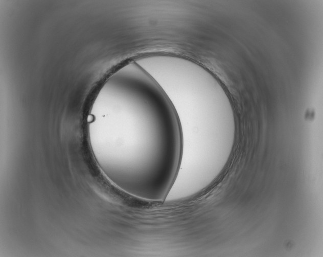 X0000092260252200709141032