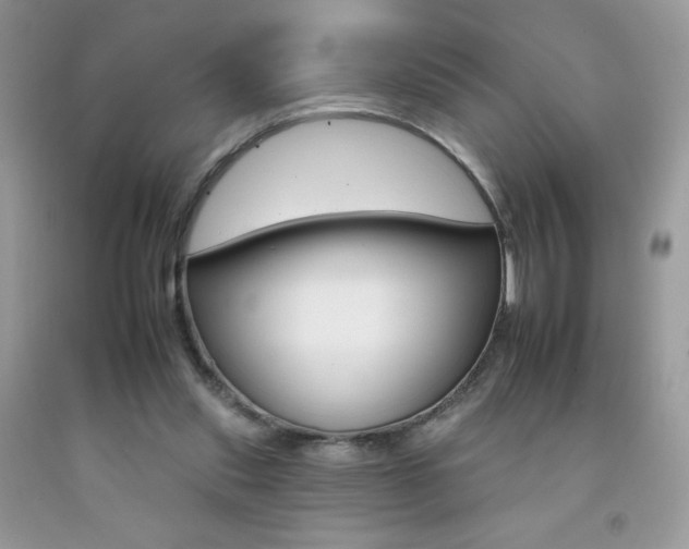 X0000092260253200709141032