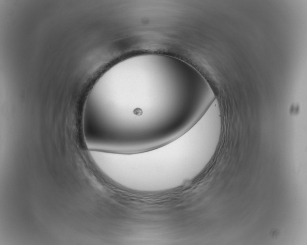 X0000092260256200709141032