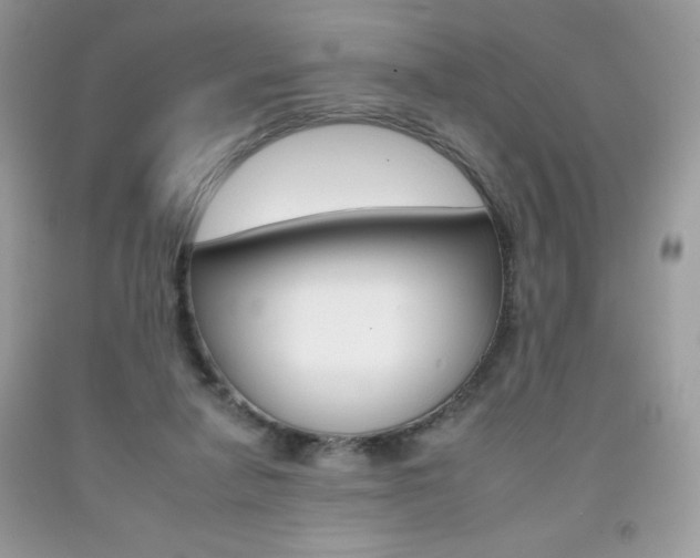 X0000092260258200709141032