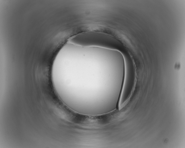 X0000092260260200709141032