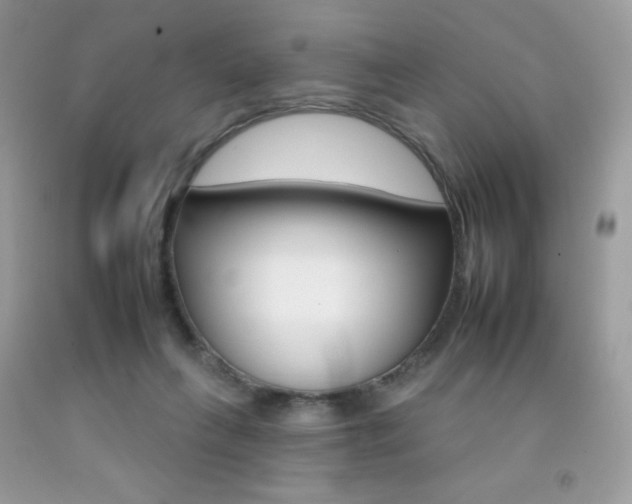 X0000092260263200709141032