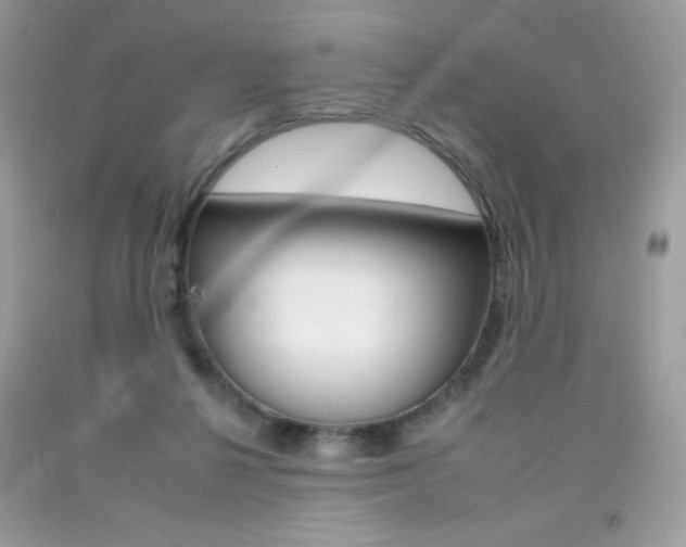 X0000092260264200709141032