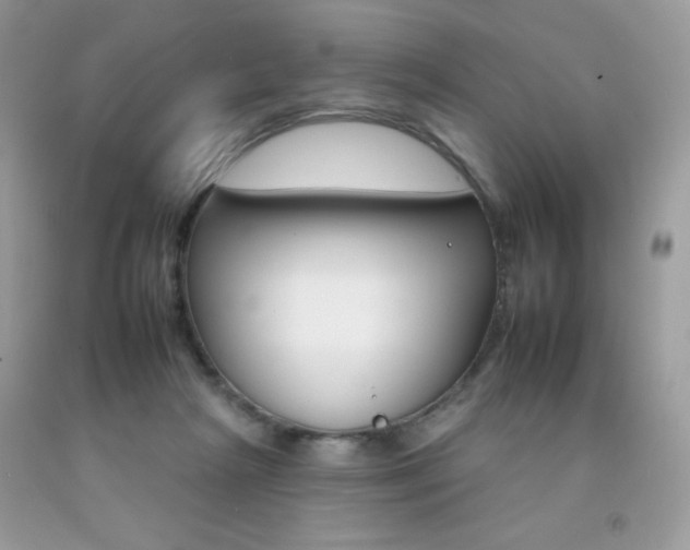 X0000092260265200709141032