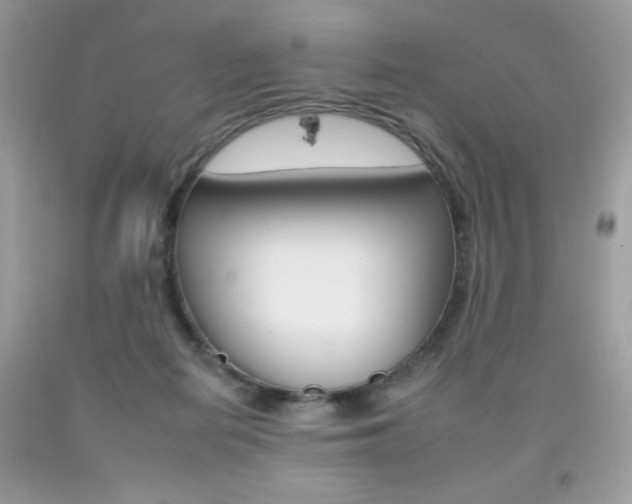 X0000092260266200709141032