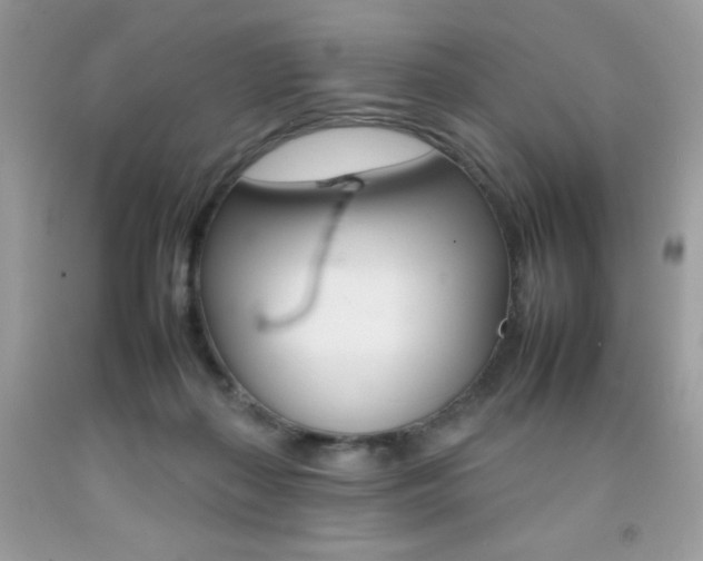 X0000092260267200709141032