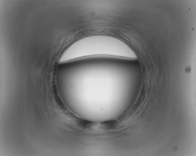 X0000092260268200709141032