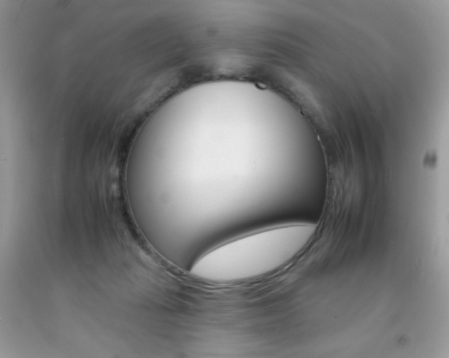 X0000092260269200709141032