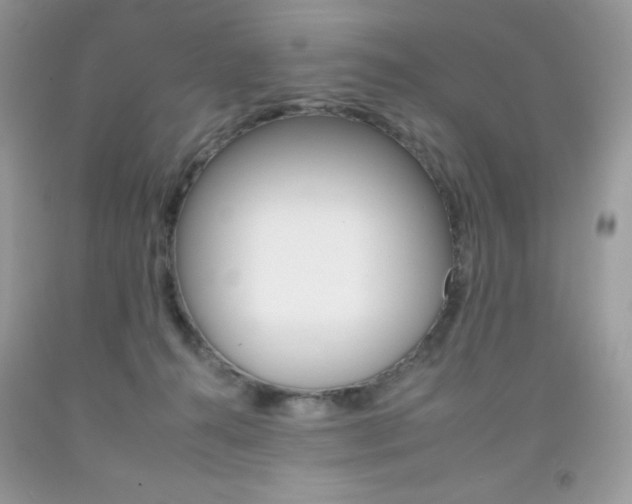 X0000092260272200709141032
