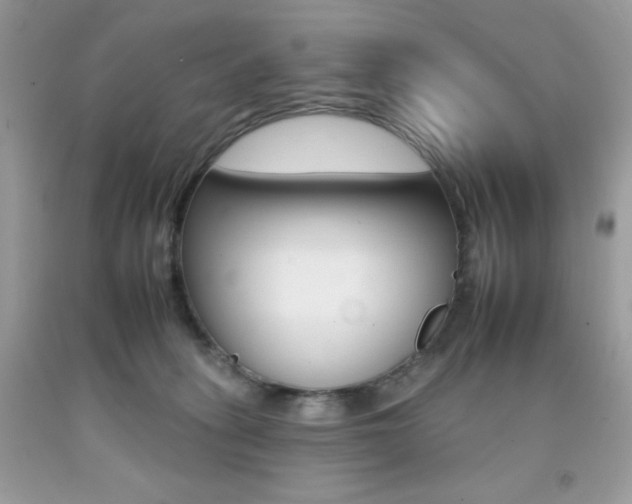 X0000092260275200709141032