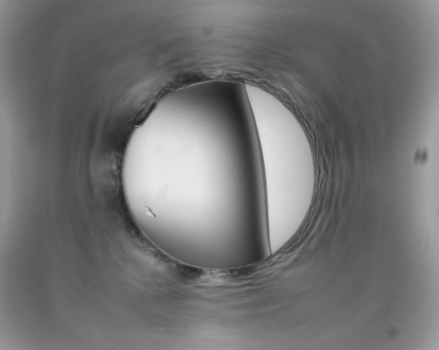 X0000092260280200709141032