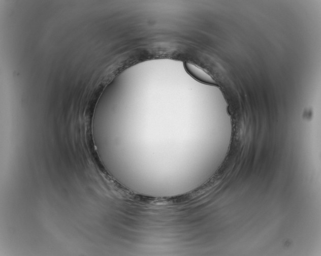 X0000092260283200709141032