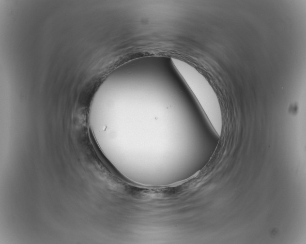 X0000092260284200709141032