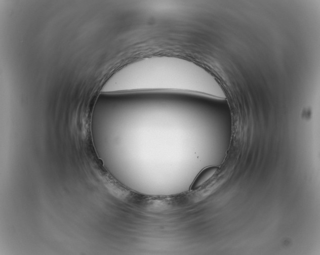 X0000092260285200709141032
