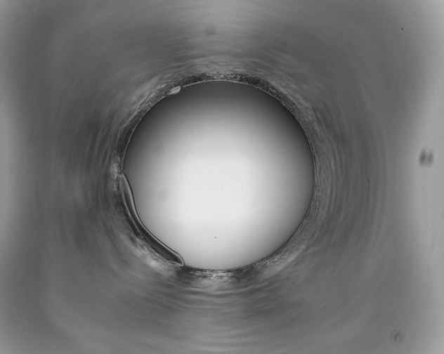 X0000092260288200709141033